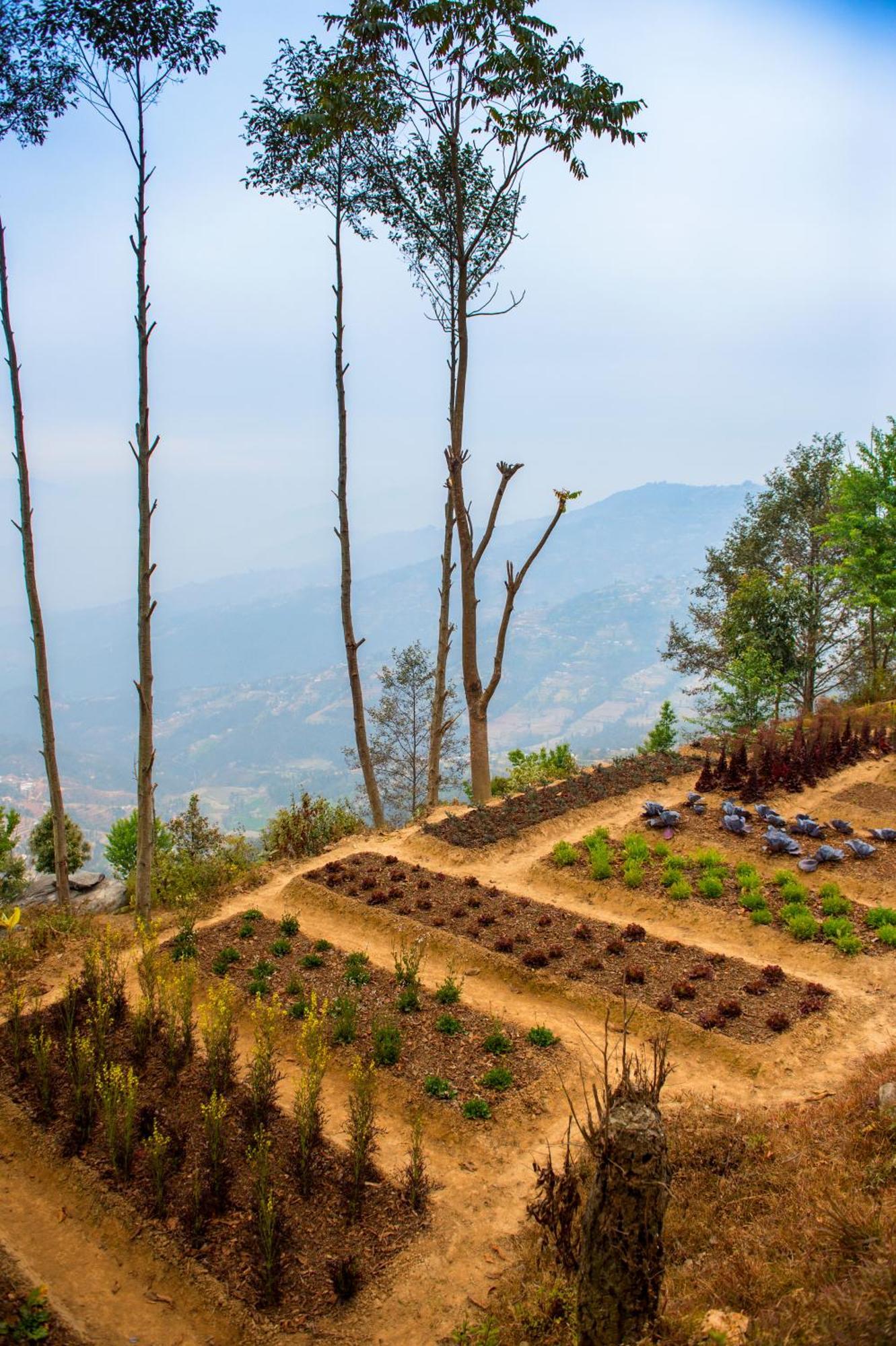 Dwarika'S Resort - Dhulikhel Wellbeing Escape In The Himalayas Exterior foto